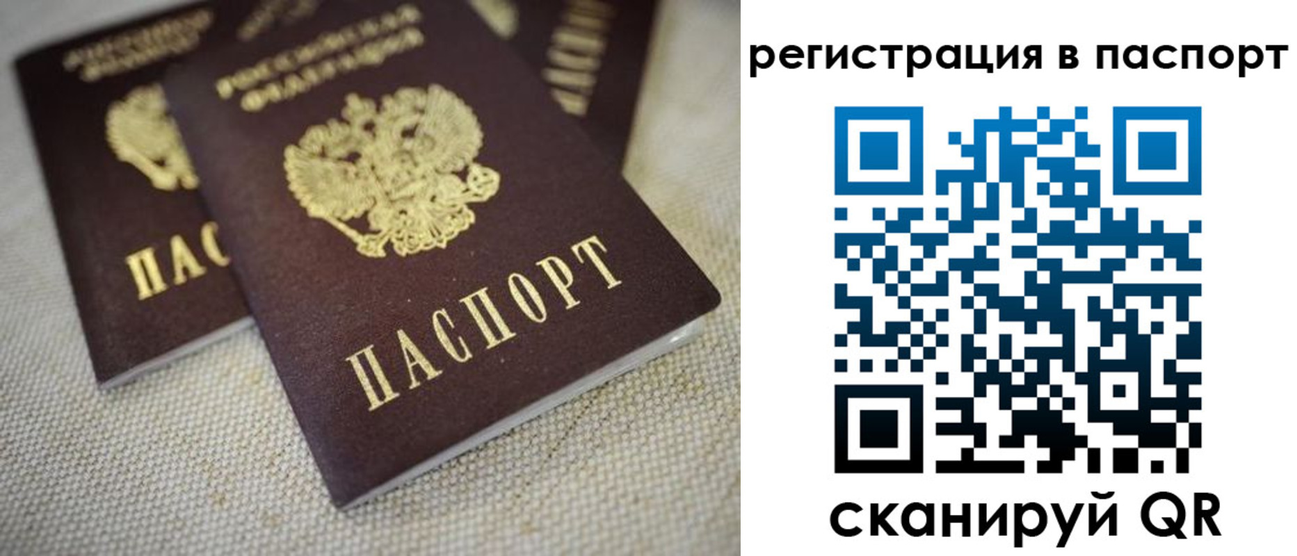 прописка гарантия в Ярцево